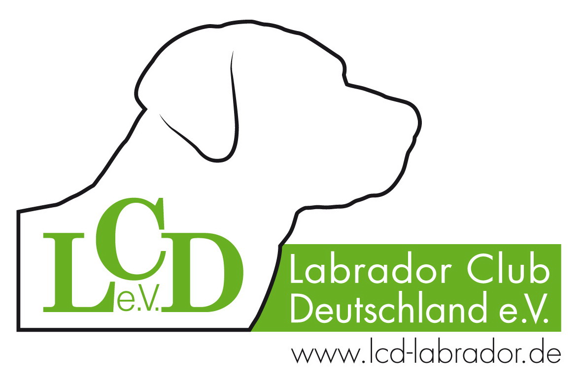 logo-lcd