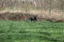 ... beim Training