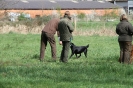 ... beim Training