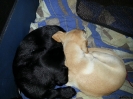 alex und alina alleine 1 20130819 1466021995
