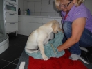 badetag 2 20130825 1325706511