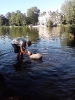 schwimmen lernen 1 20130905 2074023062