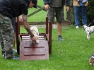 welpenschule 2 20130905 1874832109