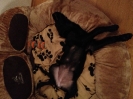 echt anstrengend 1 20130909 1337918315