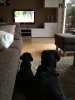fernsehabend 1 20130825 1236471673