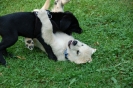lotte und maddox 2 20130830 1215494210