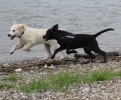 lotte und maddox 2 20130923 1217789267