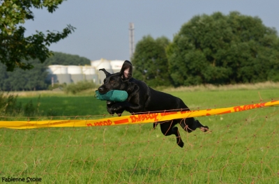 Beim Training_10